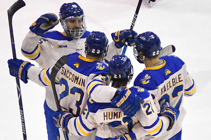 lssu hockey jersey