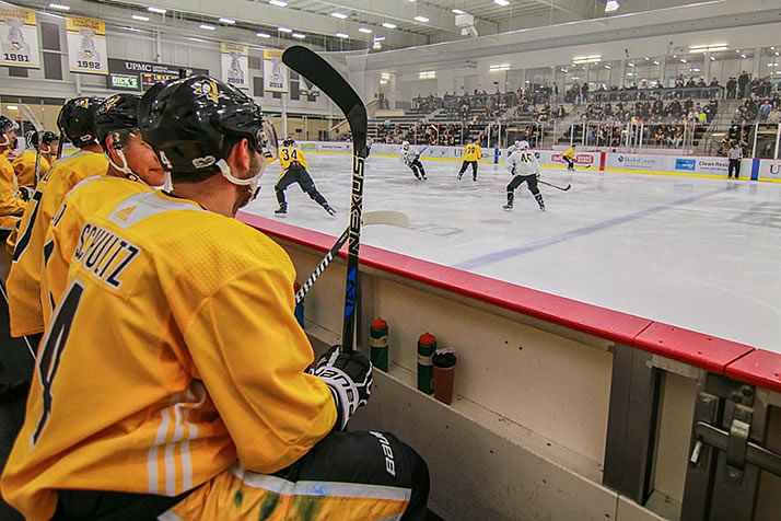 500-Plus Attend NHL Camps