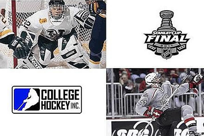 College Alums Pursue Stanley Cup