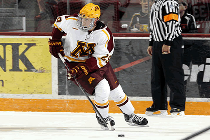 Notebook: Gophers' Spark on D